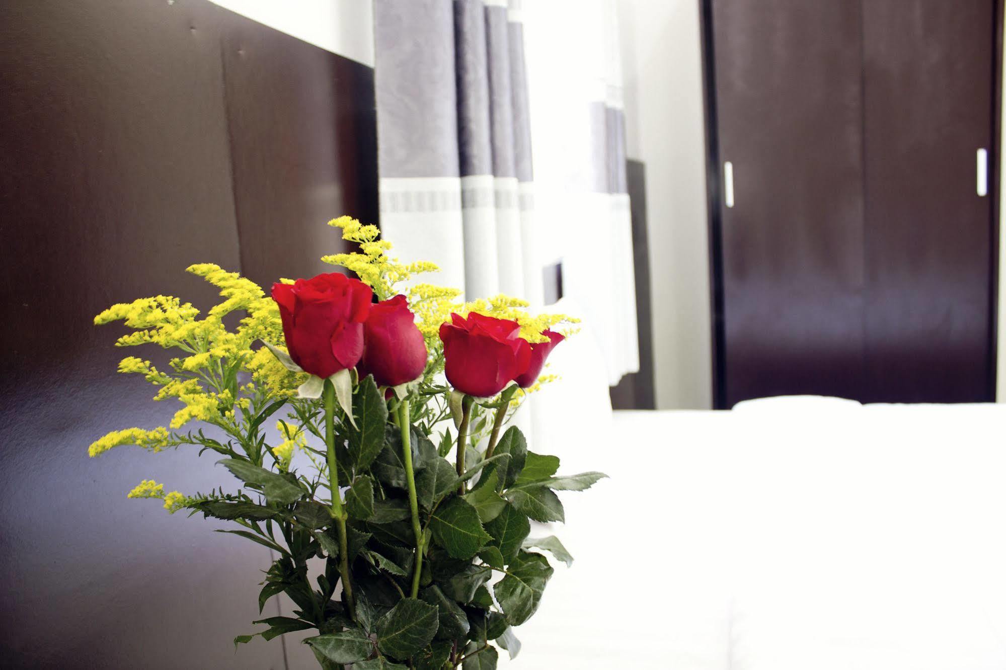 Thy Phuong Da Nang Hotel Exterior foto